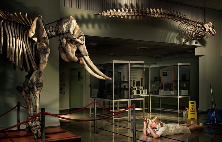 Visit The Cole Museum of Zoology