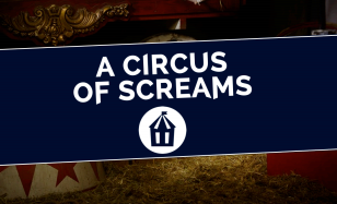 A Circus Of Screams